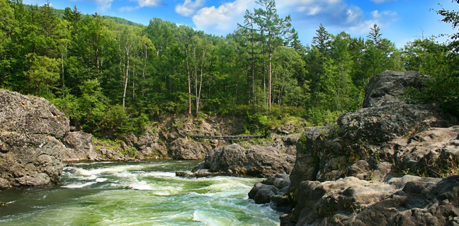Consultoria Principales Estudios Ejecutados
