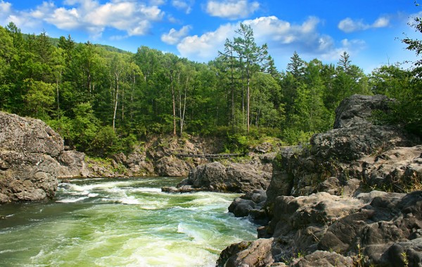 Consultoria Principales Estudios Ejecutados